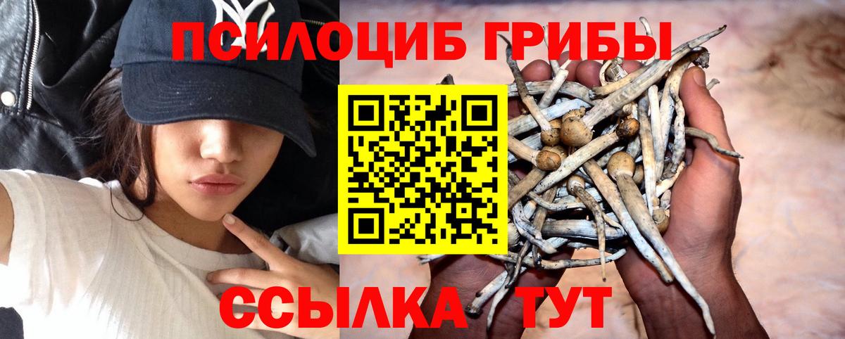 Вышний Волочёк  Псилоцибиновые грибы мицелий  Вход с VPN  Псилоцибиновые грибы ЛСД 
